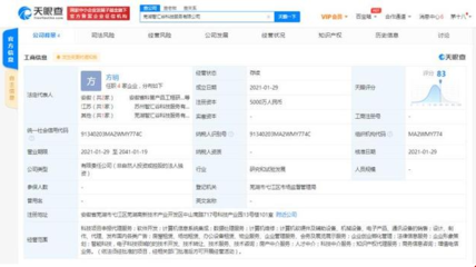 科大訊飛蕪湖設立新公司，拓展科技與房產中介服務